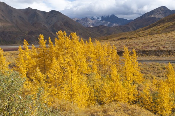Alaska