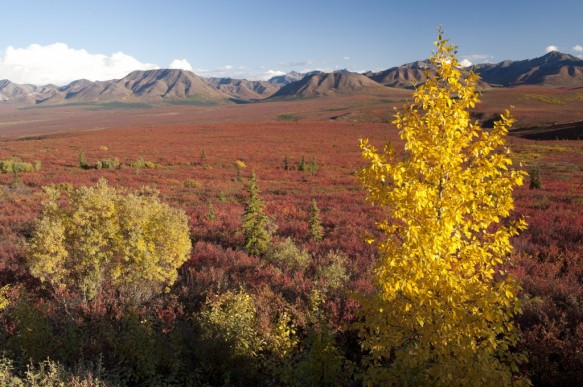 Alaska