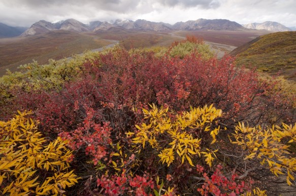 Alaska
