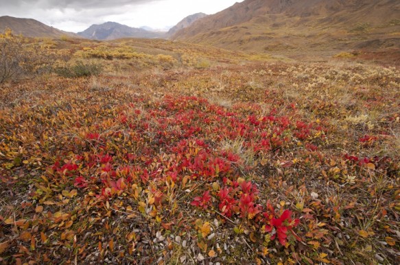 Alaska