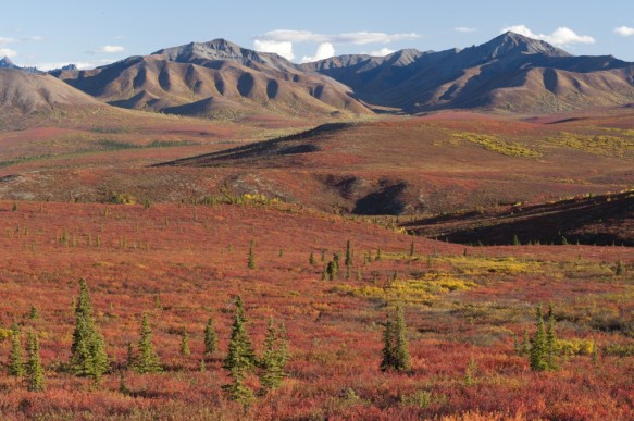 Alaska