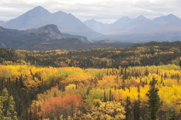 Alaska