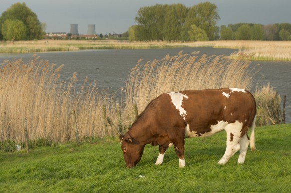 Kreek te Kieldrecht.