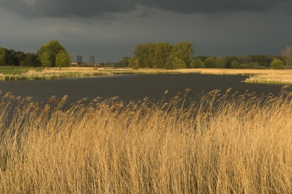 Kreek te Kieldrecht.