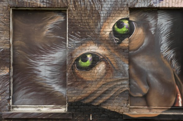 Graffiti