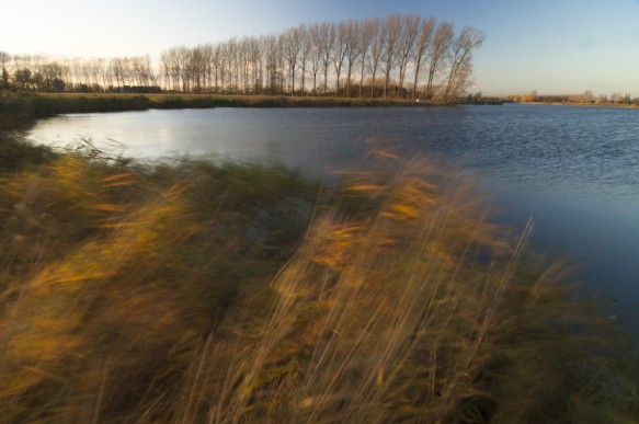 Hollandersgatkreek