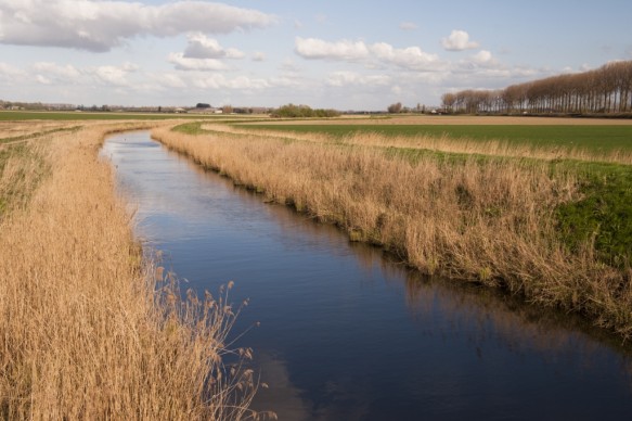 Leopoldkanaal