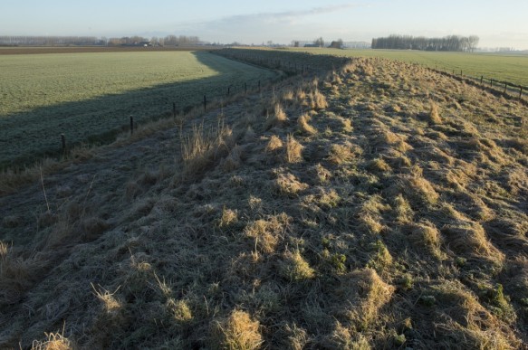 Brandkreekpolderdijk.