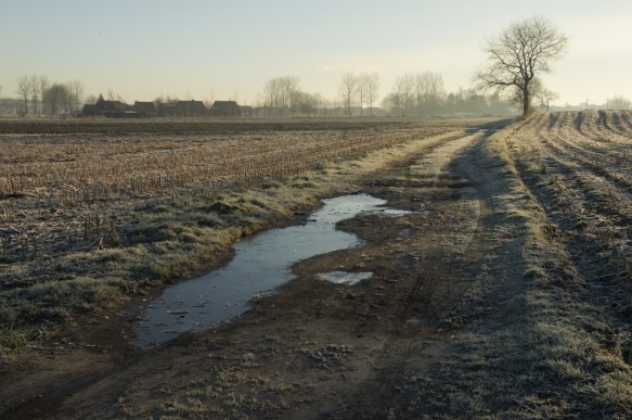 Gravejansdijk