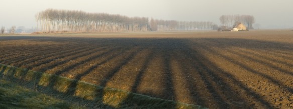 Sint-Barbarapolder te Watervliet.