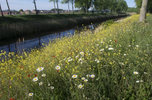 Leopoldkanaal