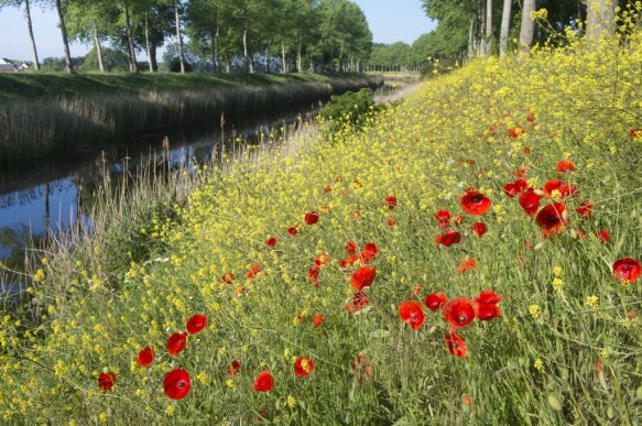 Leopoldkanaal