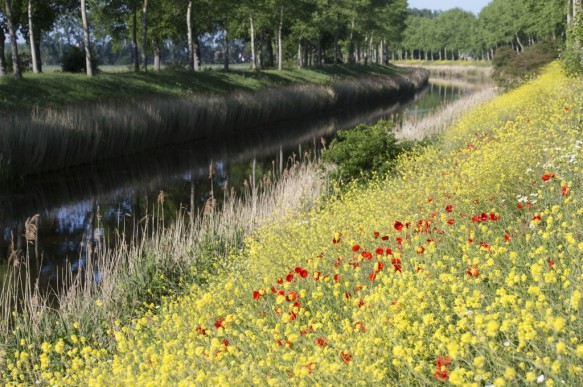 Leopoldkanaal