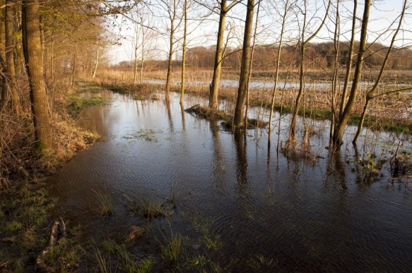 Maldegemveld