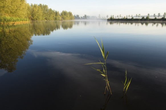 Bentillekreek