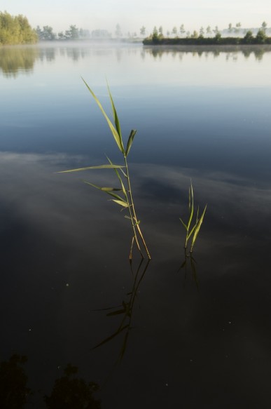 Bentillekreek