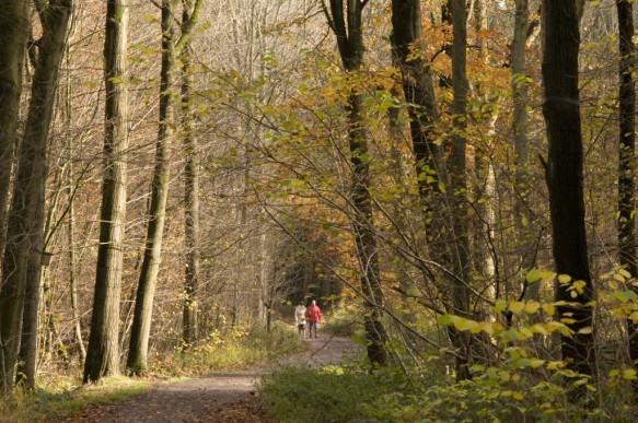 Wandelaars