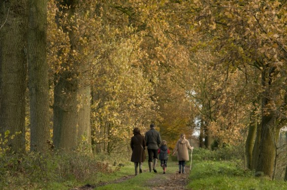 Wandelaars