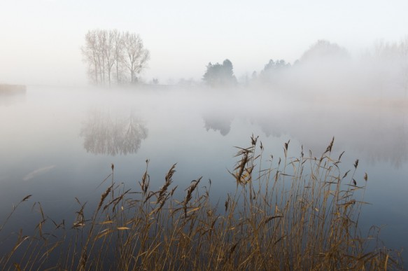 Blokkreek