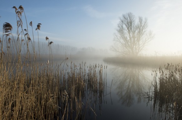 roeselarekreek