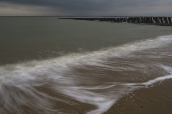 Westerschelde