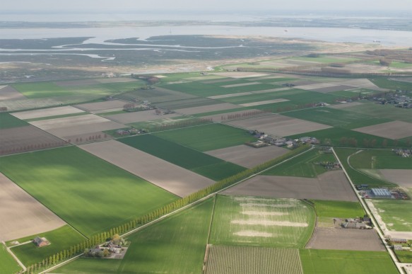 Polder in de omgeving van Doel.