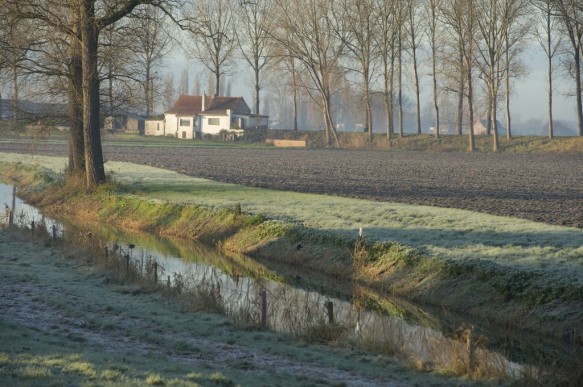 De Vliet