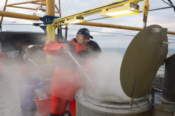 Garnaalvissen op de Westerschelde