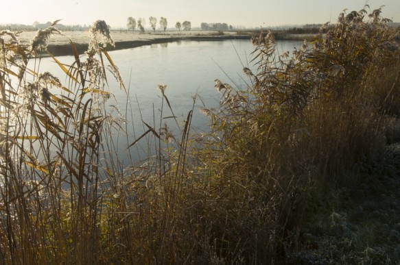 Oudemanskreek