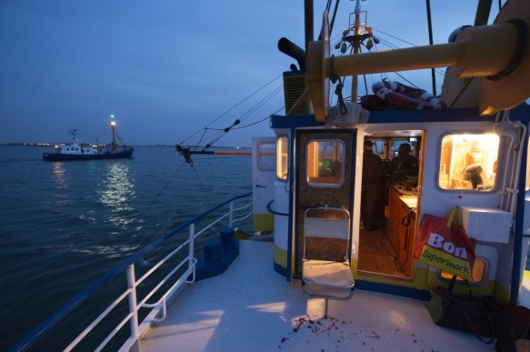 Visersboot op de Westerschelde.