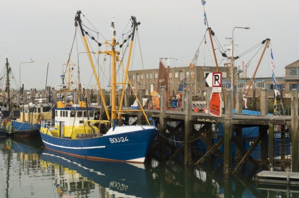 Garnaalvissen op de Westerschelde