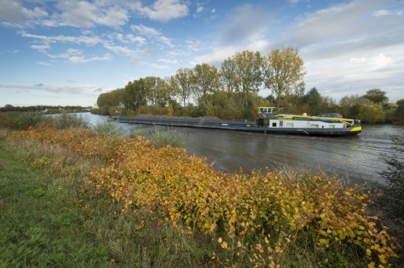 Schelde