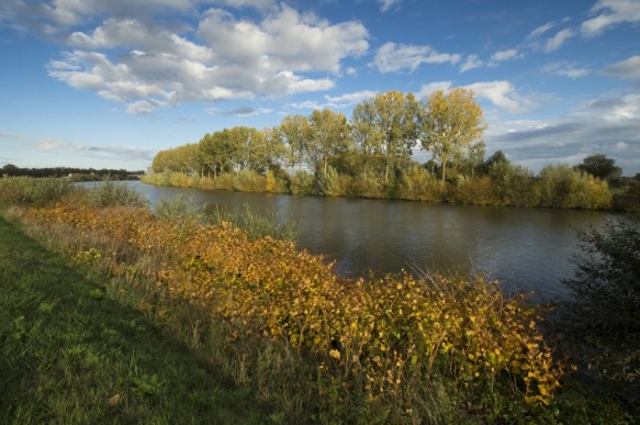 Schelde