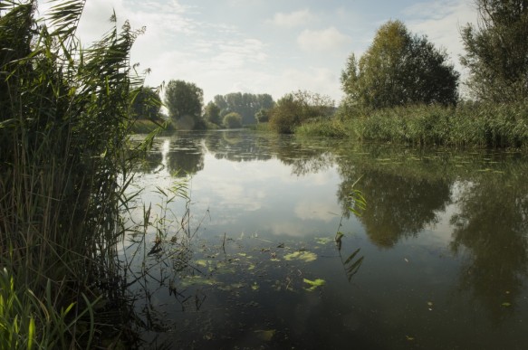 De Leie