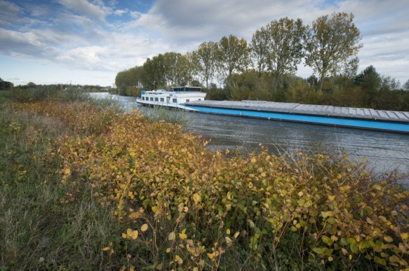 Schelde