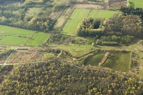 Stropersbos