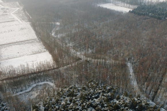 Stropersbos