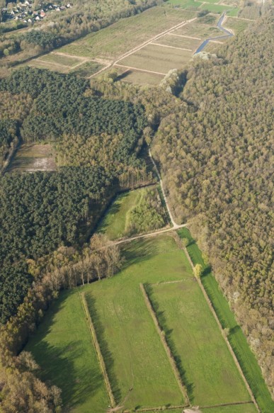 Stropersbos