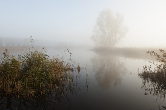 Roeselarekreek