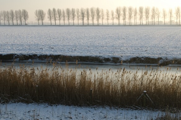Passageule