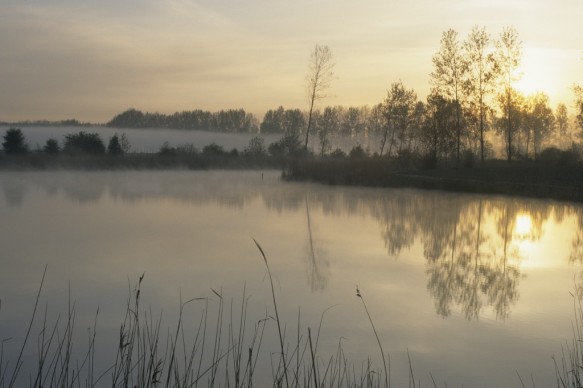 Vrouwkeshoekkreek.