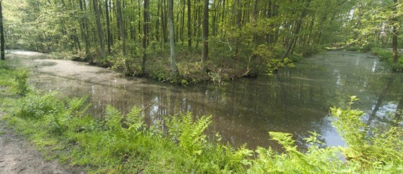 Stropersbos