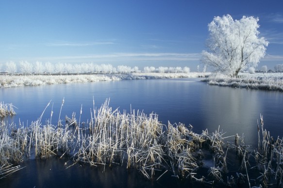 Roeselarekreek