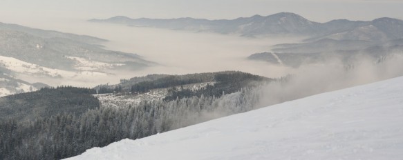 Vogezen
