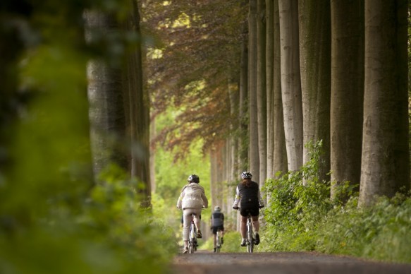 Fietsen in het bos.