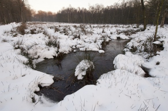 Heideveld-Bornebeek