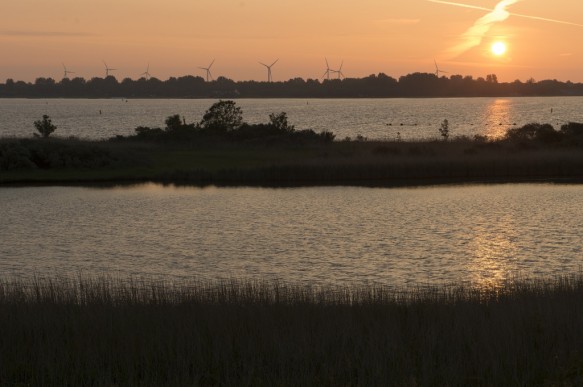 Het Veerse meer