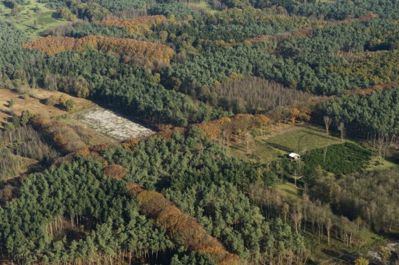 Heidebos