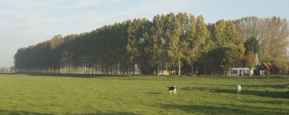 Weide met dijk.