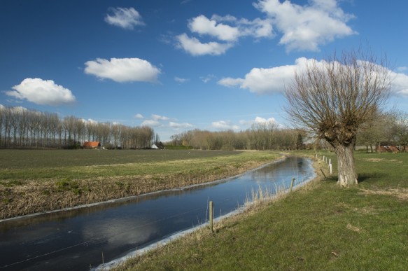 De Vliet